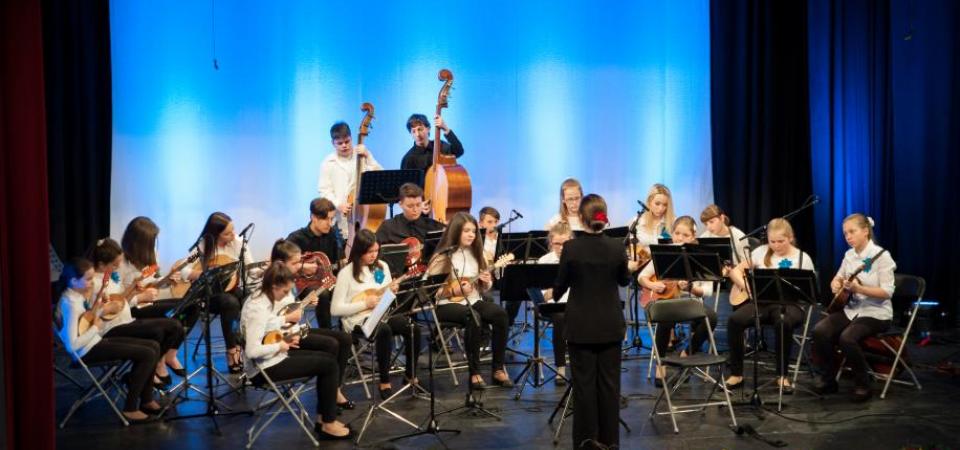 poročilo o državnem tekmovanju tamburjasi-tekmovanje-mokronog-2018